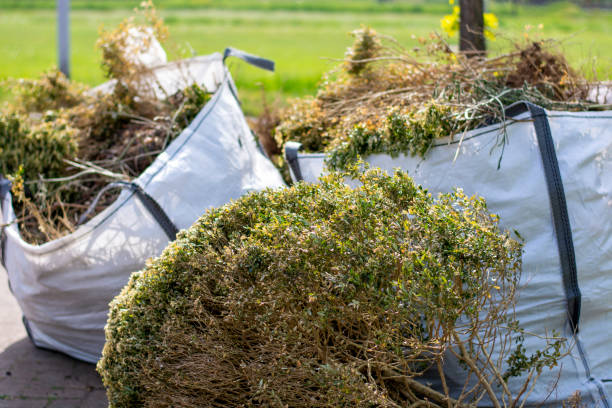 Best Construction Debris Removal  in Northgate, OH
